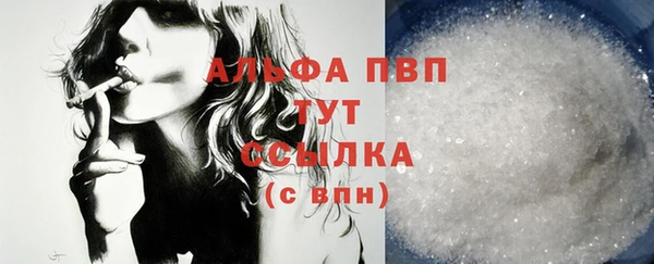 соль ск Новозыбков