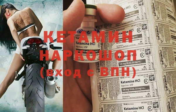 гидра Новодвинск