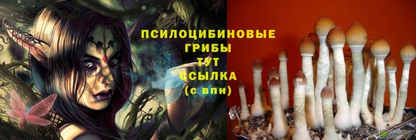 mdpv Алексин